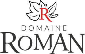 Logo Domaine Roman