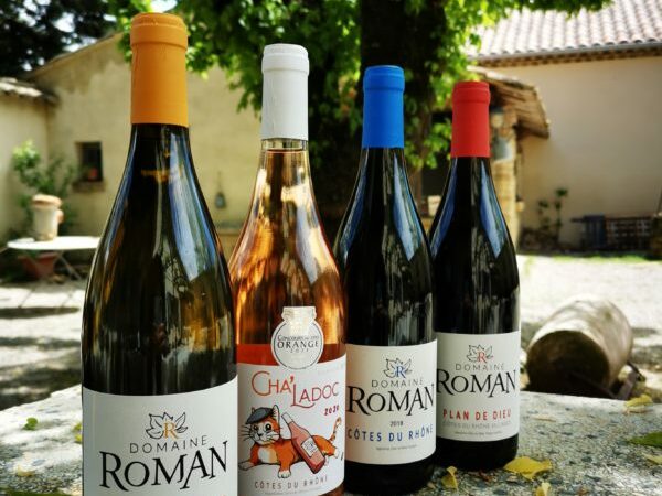 IMG_20210429_142800-600x800